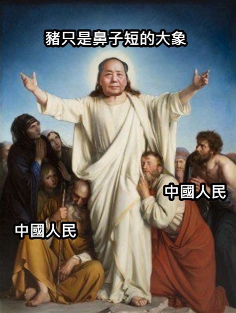 毛澤東 梗圖|毛澤東生平